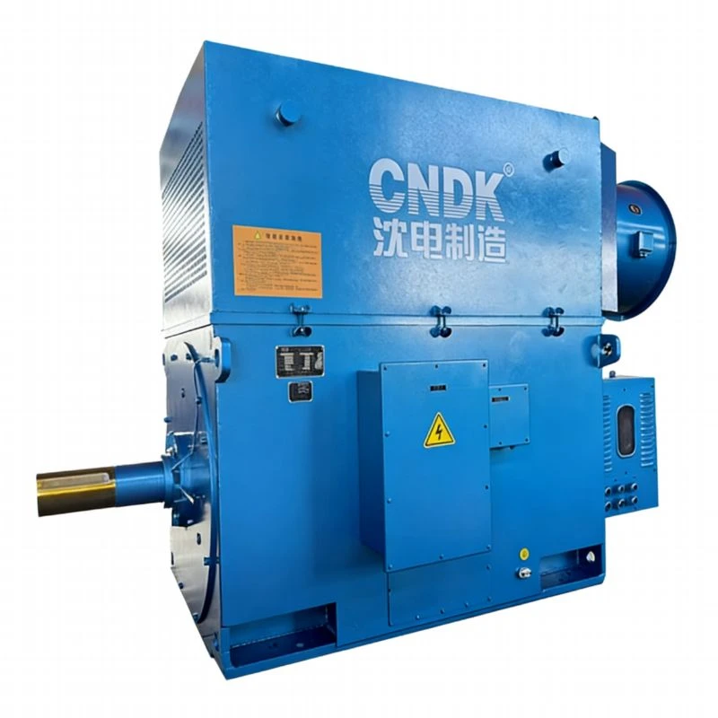 Wound Type Induction Motor